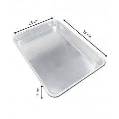 Tek Kullanımlık Tepsi 25x35 cm